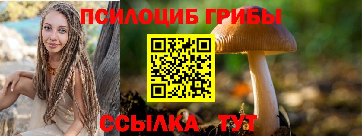 Галлюциногенные грибы Psilocybe  Вход с VPN  Псилоцибиновые грибы Psilocybe  Кировск 